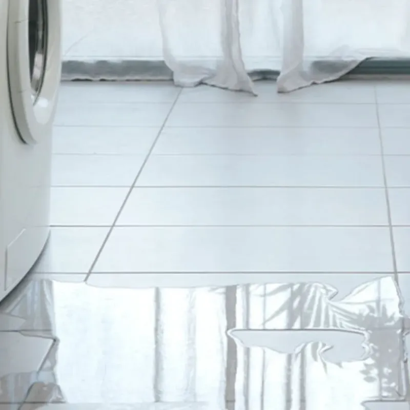 Appliance Leak Cleanup in San Clemente, CA